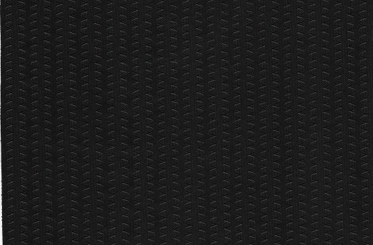 CARBON SPORT